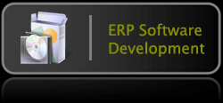 Best Web Site Design Company Of India services ERP software development